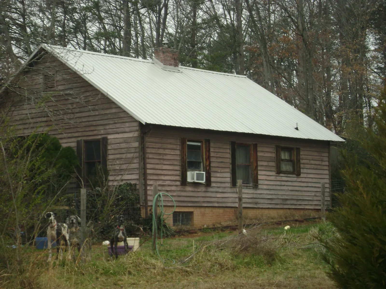 White metal roof on an old wood sided farmhouse, from a Asphalt Shingle Roof Repair job in Buffalo